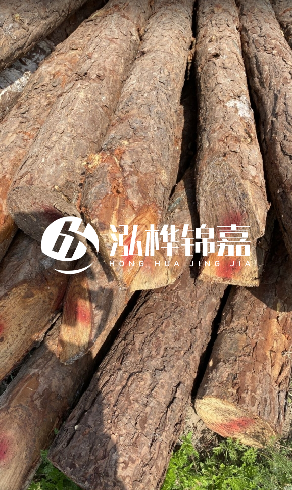 <strong>松木樁和杉木樁的用途區(qū)別？哪個更適合打樁用？</strong>