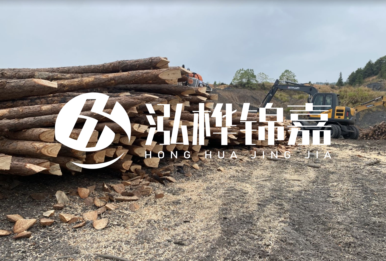 松木樁尾徑是什么意思？