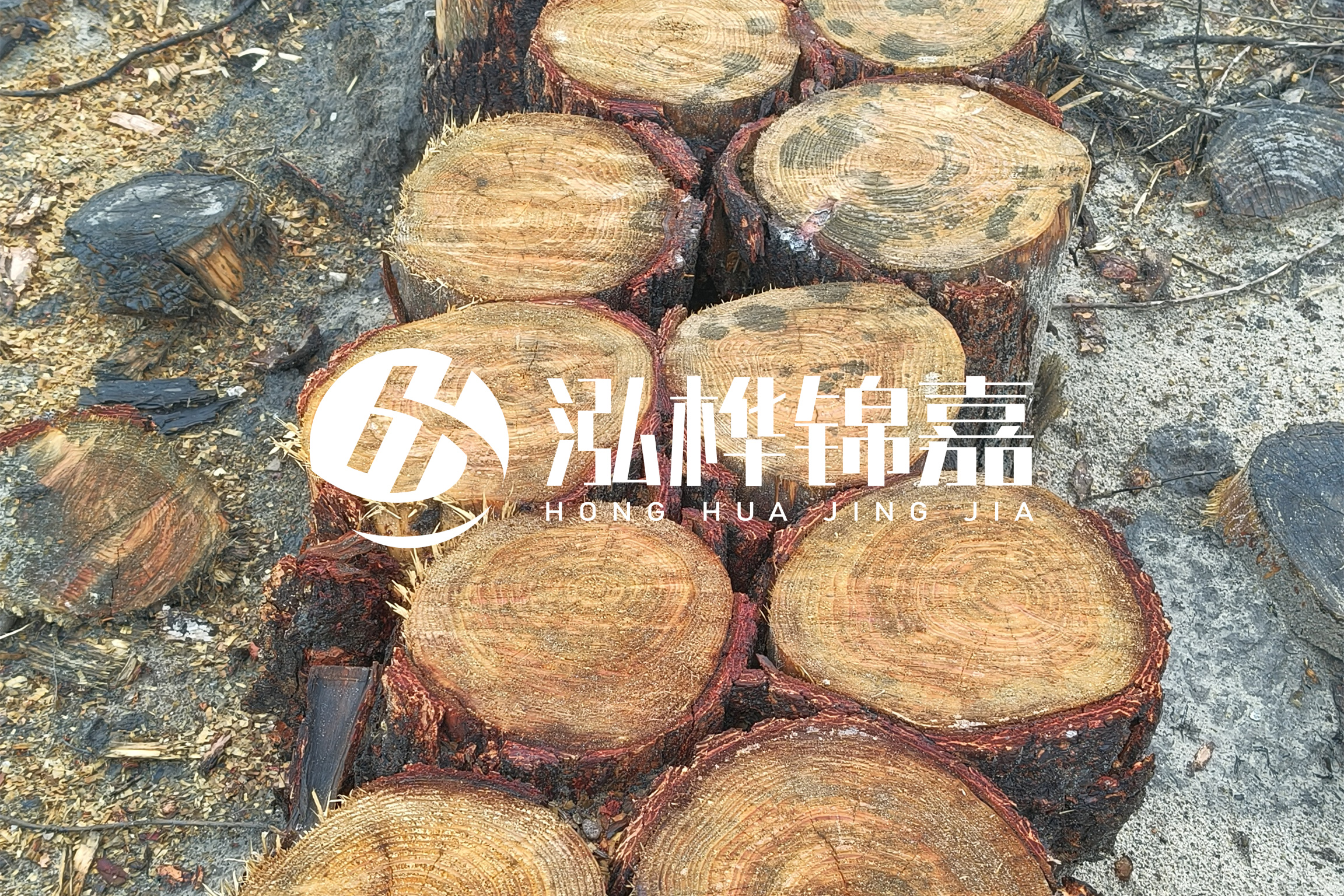 浙江臺州有清淤的公司嗎？浙江臺州有清淤施工隊嗎？