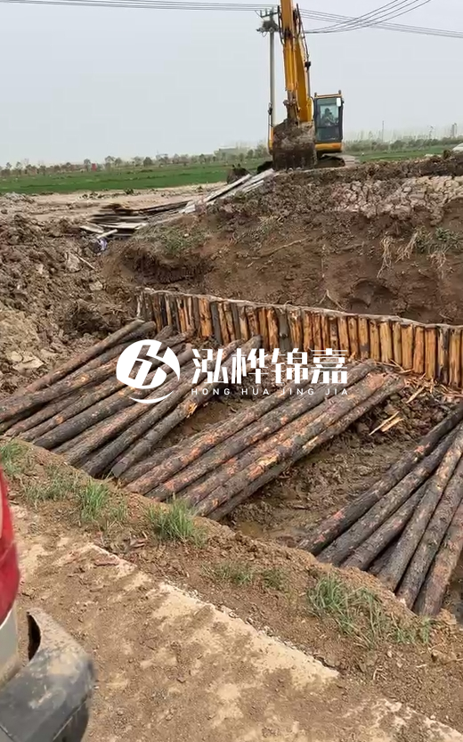 4米直徑12-13油松批發(fā)價最低多少？報價含稅含運嗎？