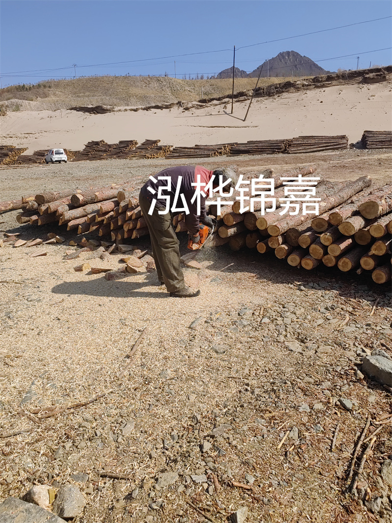 松木樁駁岸施工，打造水上風(fēng)景線