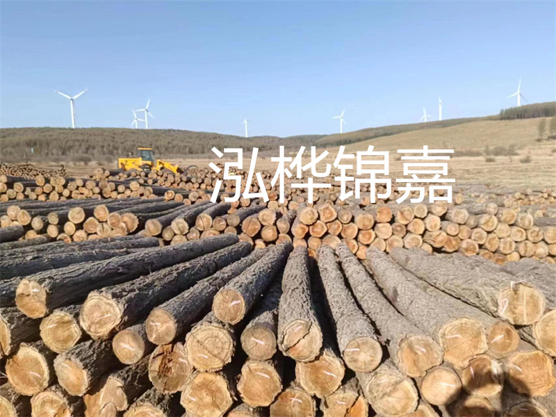 溫州松木樁施工廠家——為您打造堅固穩(wěn)定的建筑基礎！