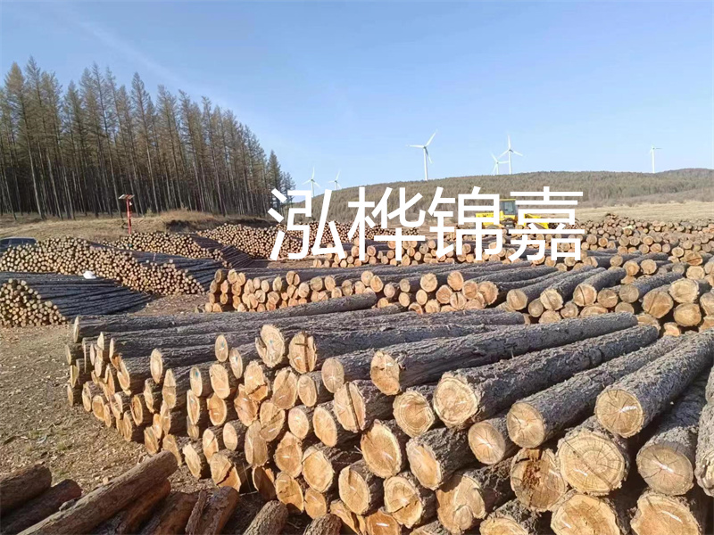 用路基松木樁施工方案提升工程質量描述：了解路基松木樁施工方案的重要性，提高工程質量關鍵詞：路基松木樁，施工方案，工程質量